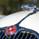 Illustration for article titled These Are The Hood Ornaments Of Pinehurst
